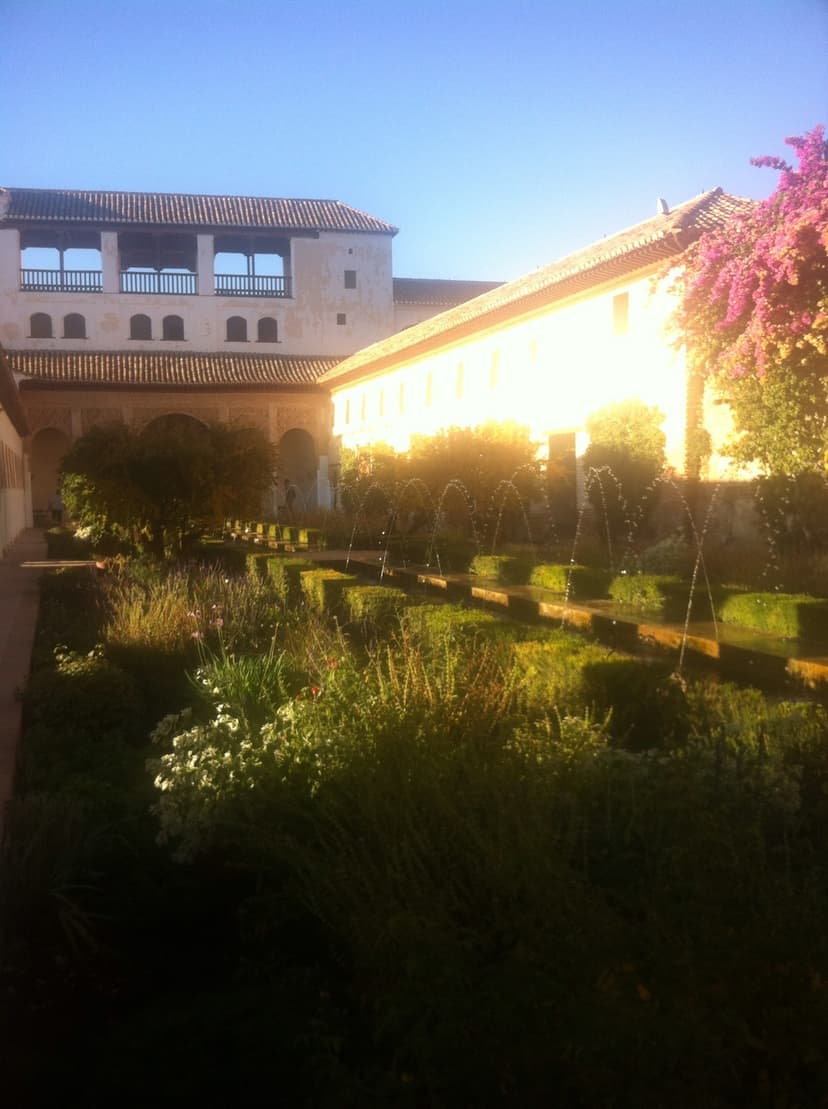 Gallery image 12