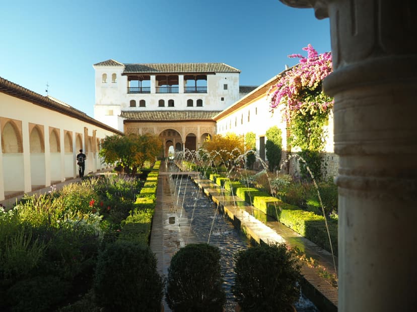 Gallery image 10