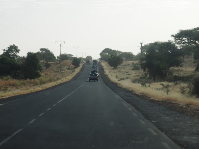 Gallery image 8