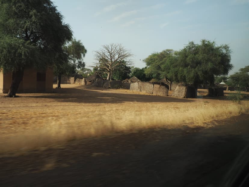 Gallery image 12